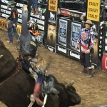 PBR_Hands on Bull Riding
