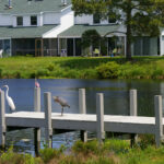 Believe In Tomorrow Children's House at Fenwick Island
