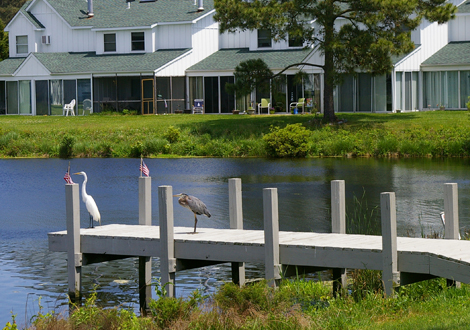 Believe In Tomorrow Children's House at Fenwick Island